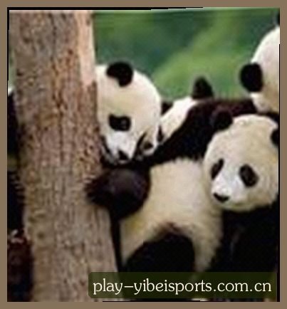 杨姐